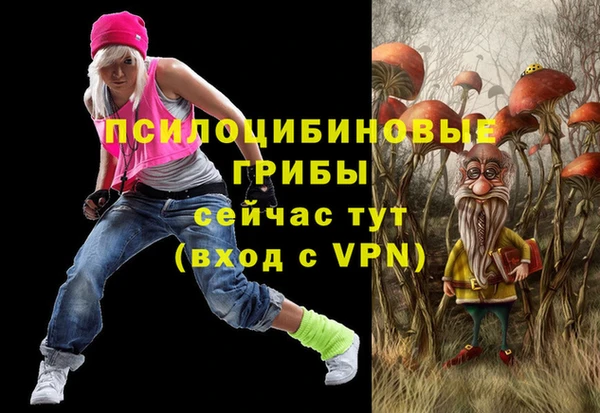 дживик Алексин