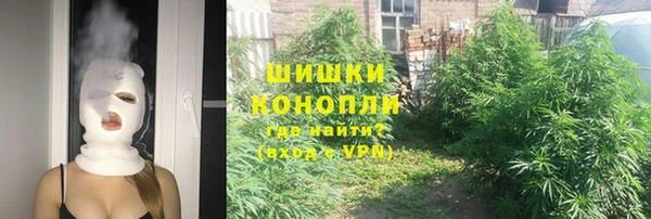 дживик Алексин