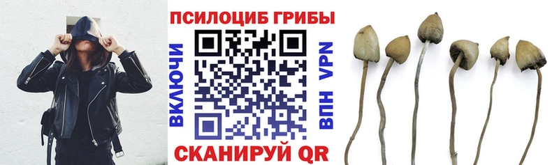 Галлюциногенные грибы Cubensis  Щёлкино 